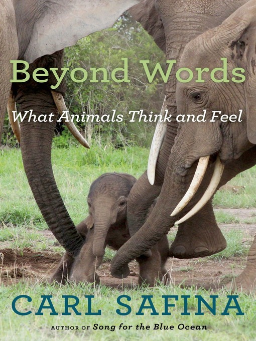 Title details for Beyond Words by Carl Safina - Wait list